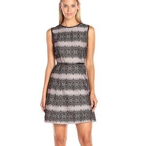 Blush Pink Sleeveless Striped Lace Shift Dress